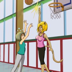 Basketball Match